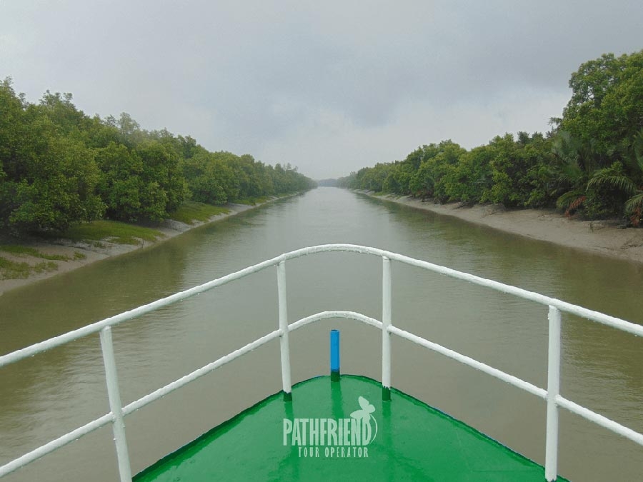 Adventure on jungle things to do image