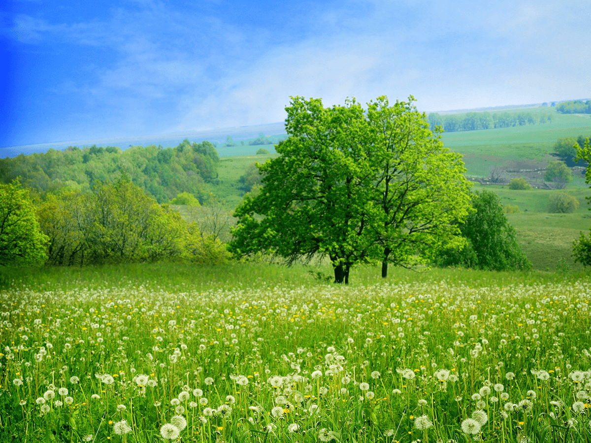 Munsiganj tour image