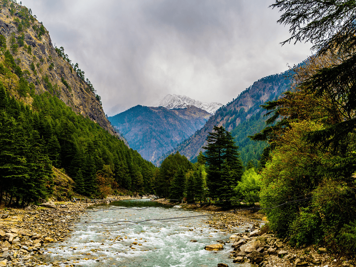 Narail, Chaulia, Bagerhat and Sundarbans Tour image