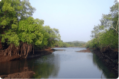 Barisal, Bagerhat & Sundarbans Tour image