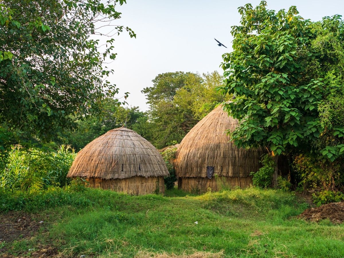 Ultimate Bangladesh Adventure: From Hills to Heritage – 18 Days image